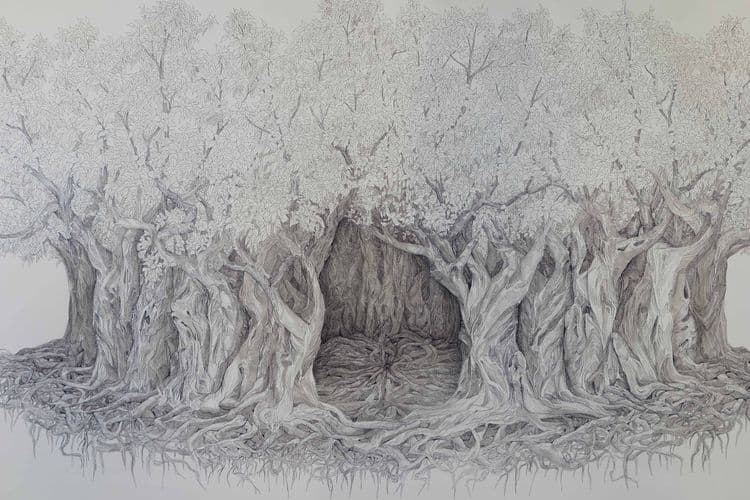 Roots Far From the Ground